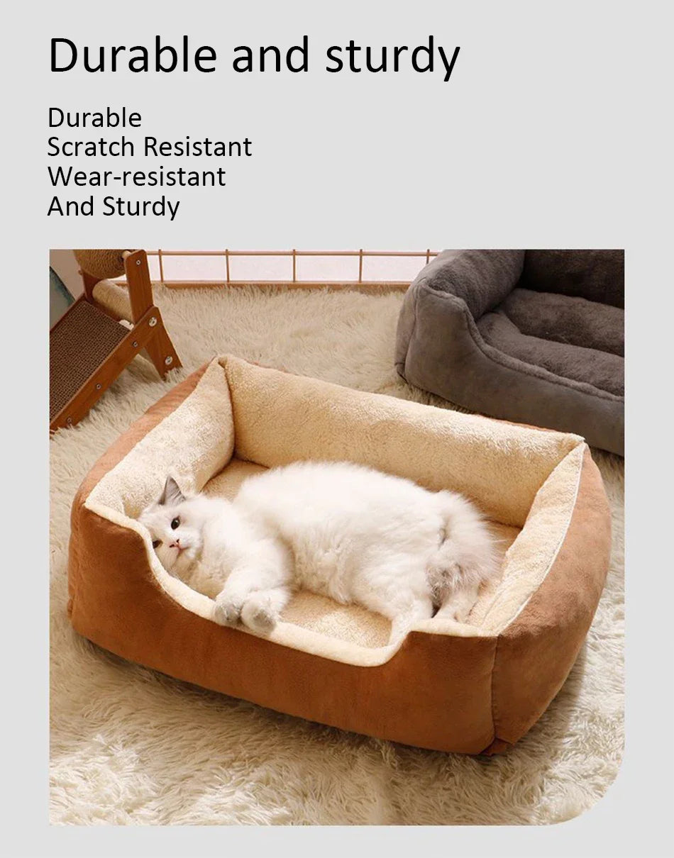 Bed for Cats Pet Products Cushions Kitten Goods Accessories Dog All Houses Supplies Things Accessory Habitats Basket House Beds Pi-Mart