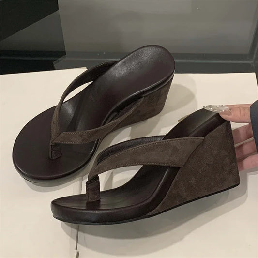 Aneikeh Fashion Summer Clip Toe Platform Wedges Women Slippers  Thick High Heels Beach Flip Flops Slide Shoes 2026 LadyShow.Store