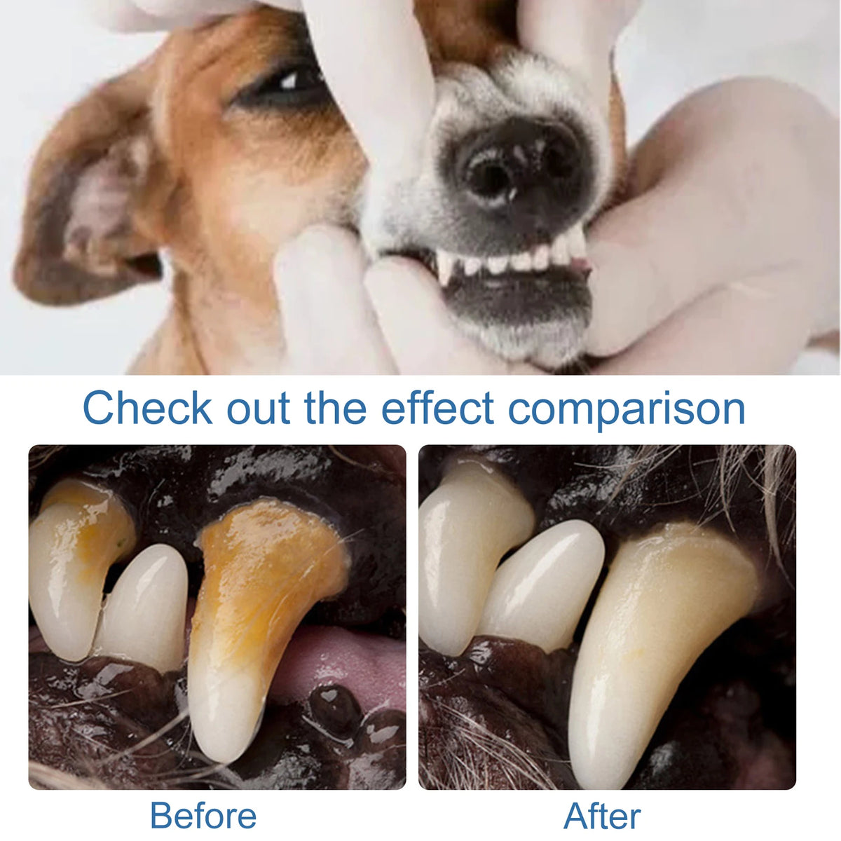 Pet Oral Tartar Remover Spray Deep Clenaing Yellow Teeth Eliminate Bad Breath Fresh Breath Whitening Teeth Pet Oral Foam Cleaner Pi-Mart