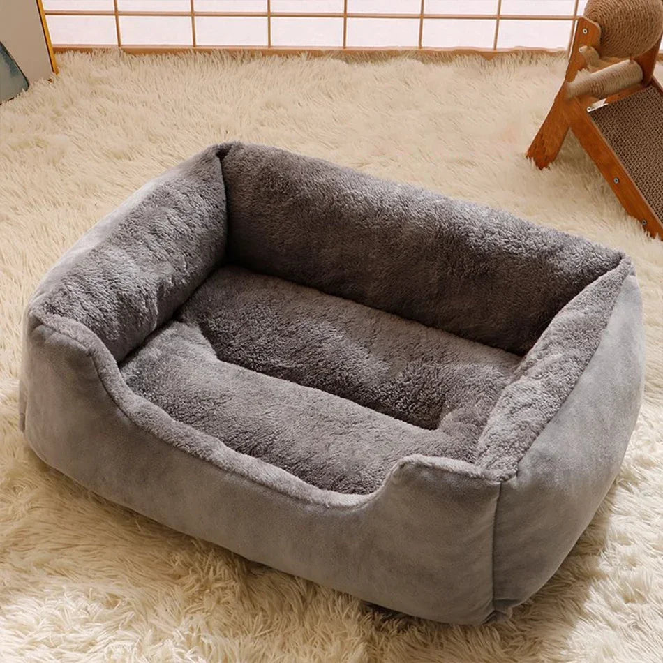 Bed for Cats Pet Products Cushions Kitten Goods Accessories Dog All Houses Supplies Things Accessory Habitats Basket House Beds Pi-Mart