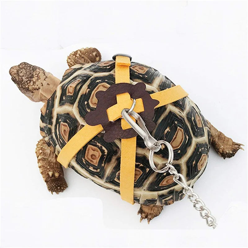 Turtle Traction Belt Control Rope Training Belt Outdoor Walking Leash  Harness Reptile Leash Pet Supplies PU Leather Pi-Mart