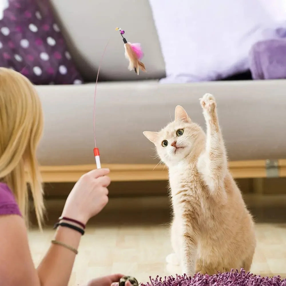 Kitten Toys Variety Pack-Pet Cat Toys Combination Set Cat Toy Funny Cat Stick Sisal Mouse Bell Ball Cat Supplies Pi-Mart