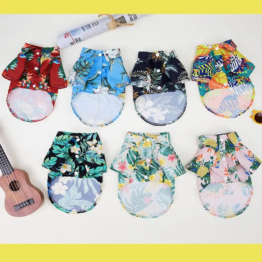 S38f8f290767242249c0b6002a78f060fX