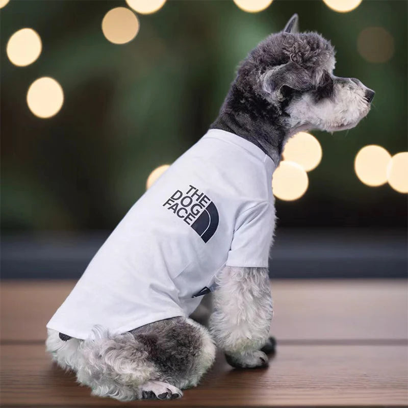 S397e99d48c294fe4a7fbc9f4be19959eZ