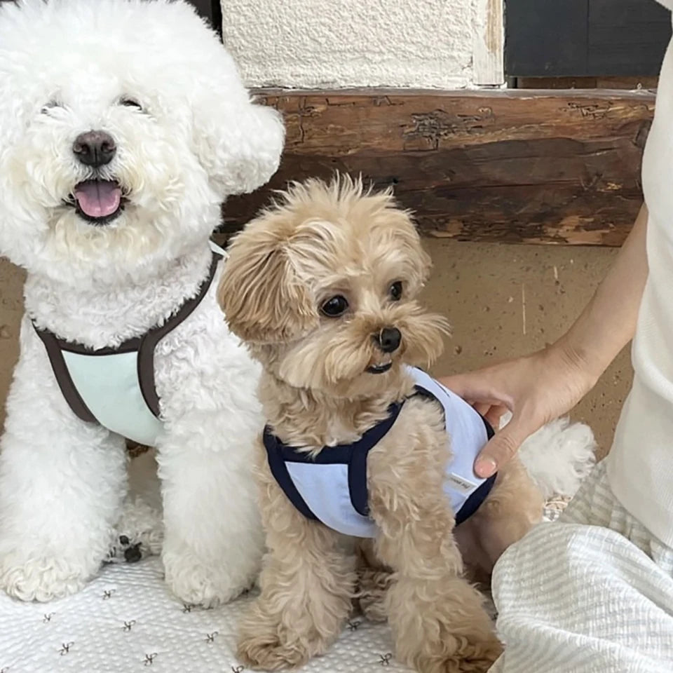 Summer Letter Printed Puppy Sling Breathable Teddy Vest Small Dog Bow T-shirt Casual Dog Clothes Pet Supplies Pi-Mart