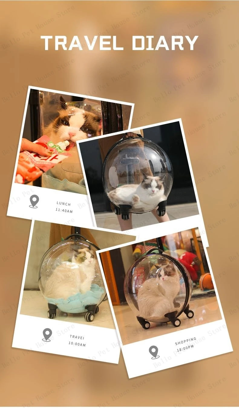 Portable Cat Bag for Going Out Large Capacity Transparent Breathable Pet Trolley Case Cat Travel Bag Pet Supplies Cat nest Pi-Mart