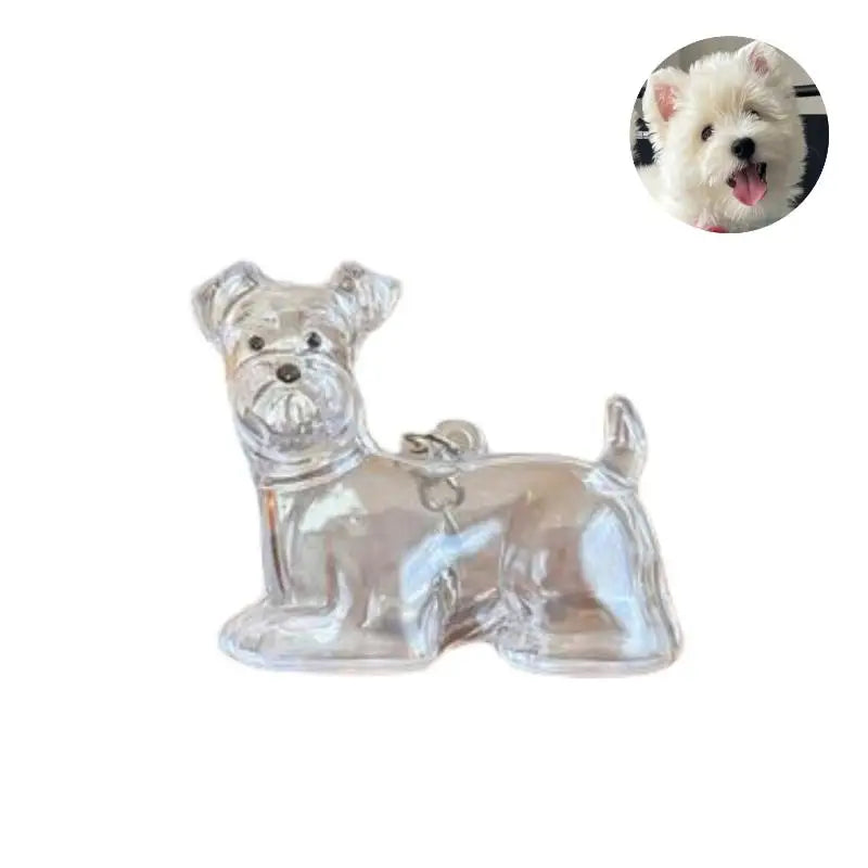 Diy Bag Charm Handmade Pet Hair Memorial Keychain Keepsake Pendant for Dog Fur - Personalized Pet Loss Gift for Dog Lovers Pi-Mart