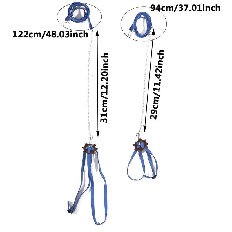 Turtle Traction Belt Control Rope Training Belt Outdoor Walking Leash  Harness Reptile Leash Pet Supplies PU Leather Pi-Mart