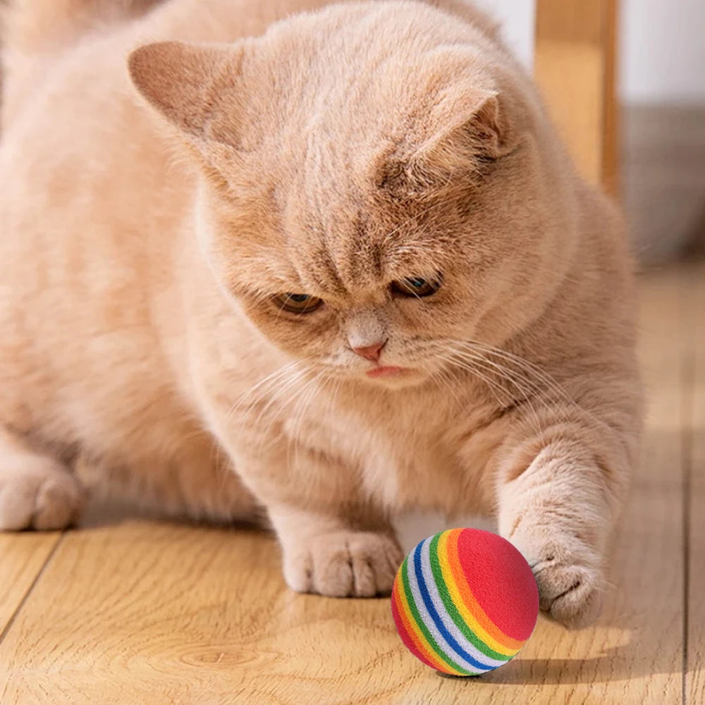10-100x Colorful Cat Toy Ball EVA Bite-Resistant Elastic Rainbow Ball Kitten Puppy Chewing Training Interactive Toy Pet Supplies Pi-Mart