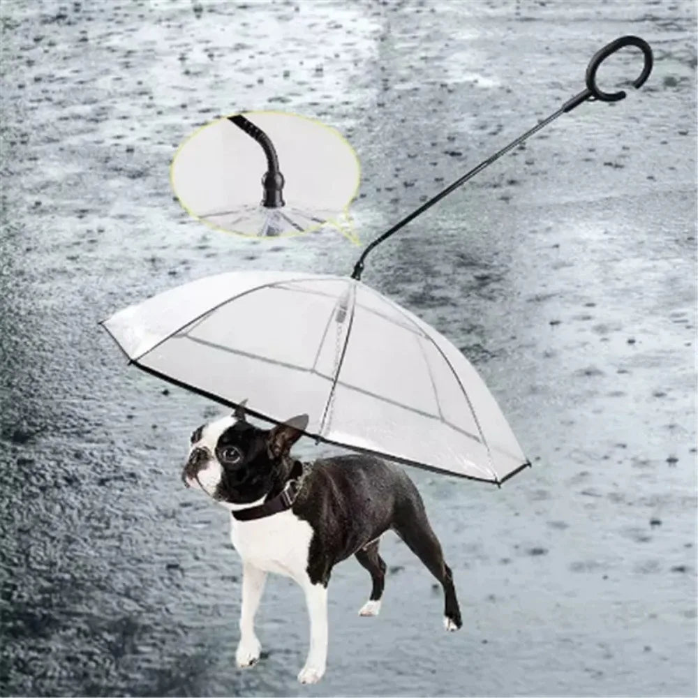 New Transparent Pet Umbrella Well Made Detachable Adjustable Rainy Day Outdoor Dog Walking Leash for Small Dogs Pet Supplies Pi-Mart