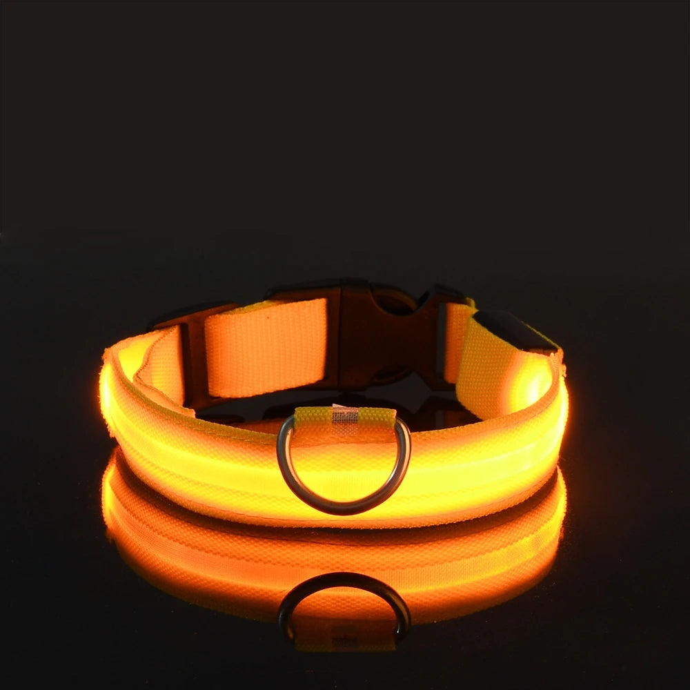 Nylon LED Night Safety Flashing Glow In The Dark Dog Leash Dogs Luminous Fluorescent Pet Dog Collar Pi-Mart