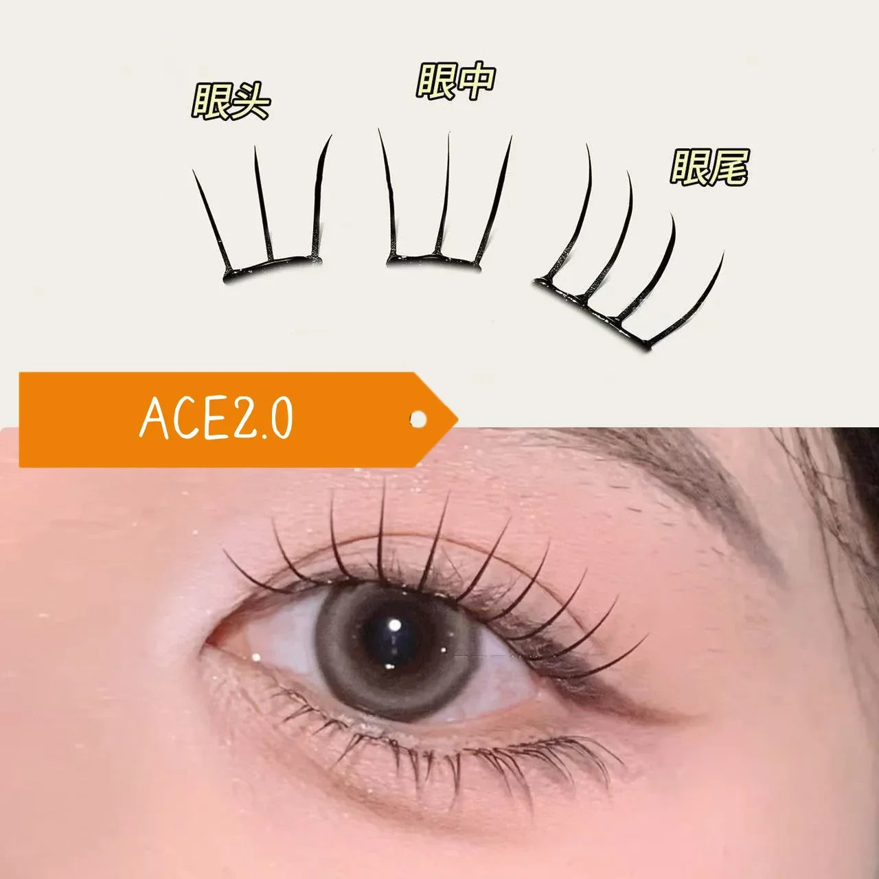 MJ Self Adhesive DIY Lashes No Glue Needed Reusable Bottom Lash  Fluffy Cluster Eyelash Korean DIY Manga Lash Extension At Home LadyShow.Store