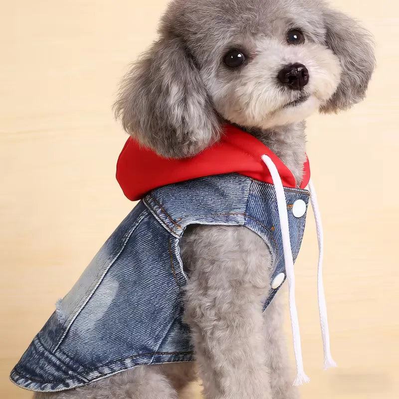 Denim Pet Clothes for Small Dogs Puppy Jeans Hoodie with Gray Cap Blue Denim Chihuahua Jacket 2026 New Designer Cowboy Shirt Pi-Mart