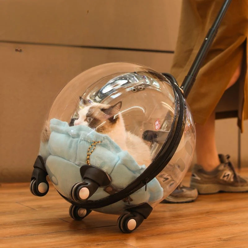 Portable Cat Bag for Going Out Large Capacity Transparent Breathable Pet Trolley Case Cat Travel Bag Pet Supplies Cat nest Pi-Mart