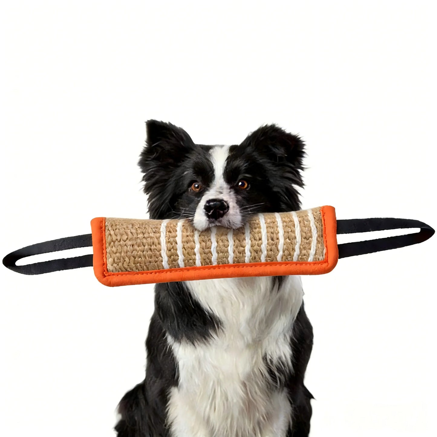Dog Training Products, Jaoseko Dog Bite Rods, Grinding Teeth, Stick, Biting Target Pet Supplies, Stick Dog Toys Pi-Mart