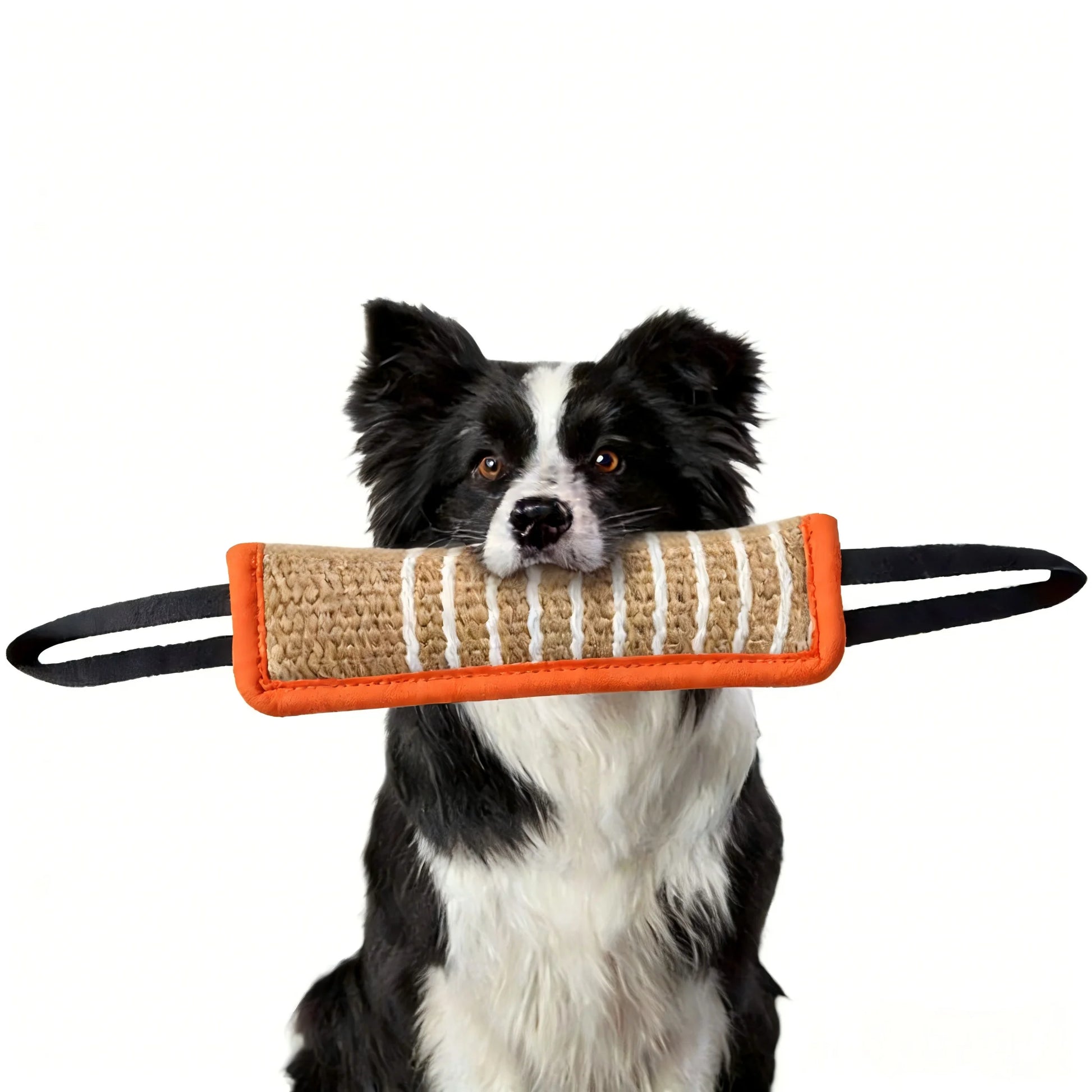 Dog Training Products, Jaoseko Dog Bite Rods, Grinding Teeth, Stick, Biting Target Pet Supplies, Stick Dog Toys Pi-Mart