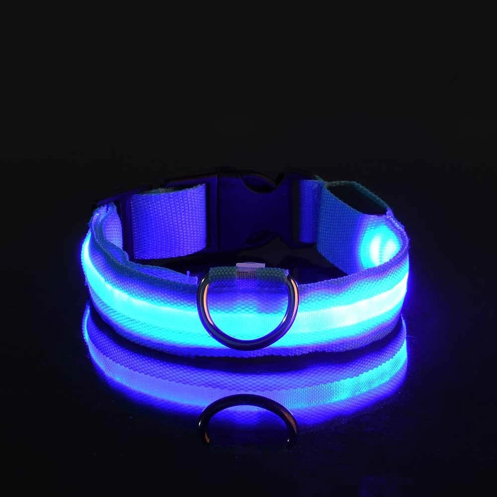 Nylon LED Night Safety Flashing Glow In The Dark Dog Leash Dogs Luminous Fluorescent Pet Dog Collar Pi-Mart