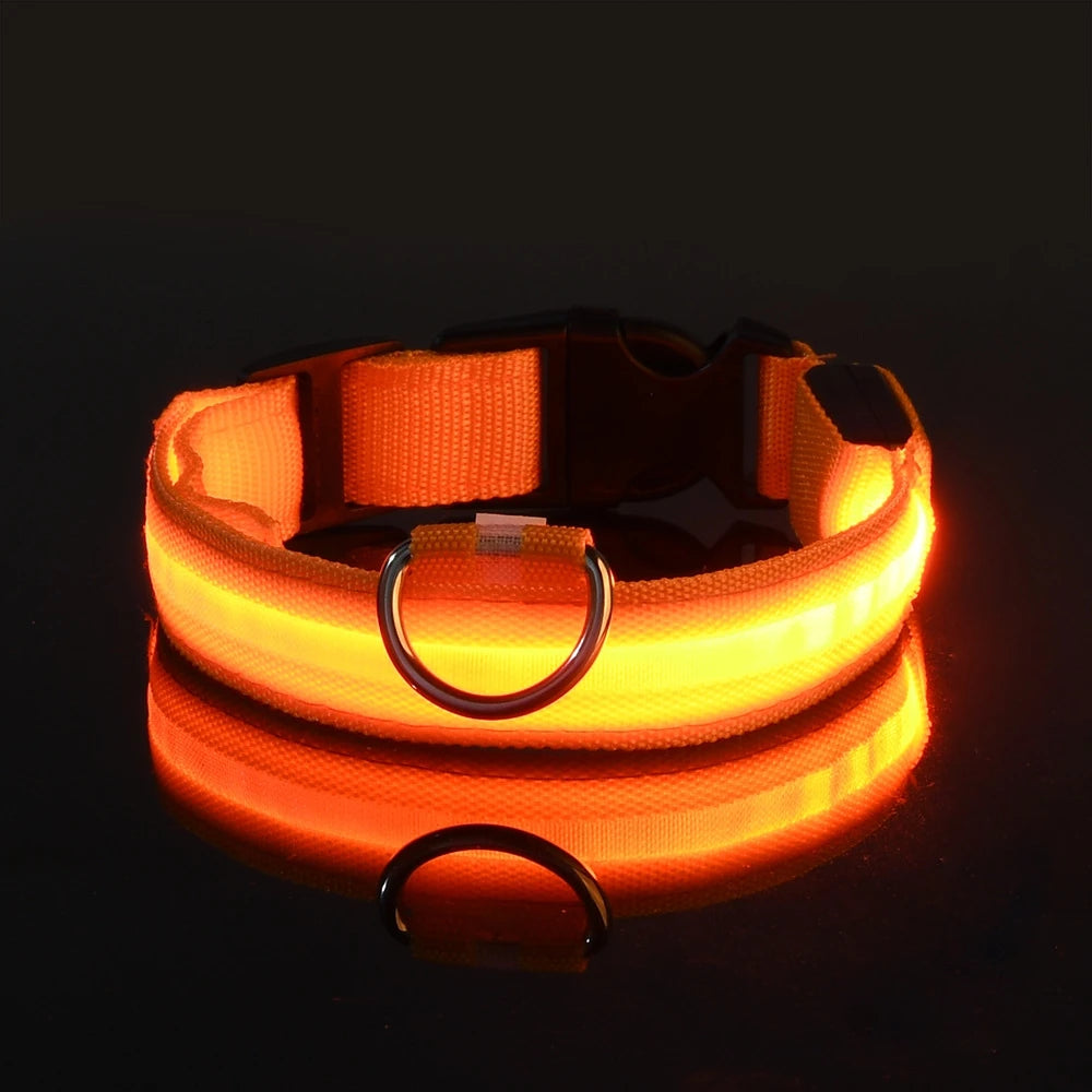Nylon LED Night Safety Flashing Glow In The Dark Dog Leash Dogs Luminous Fluorescent Pet Dog Collar Pi-Mart