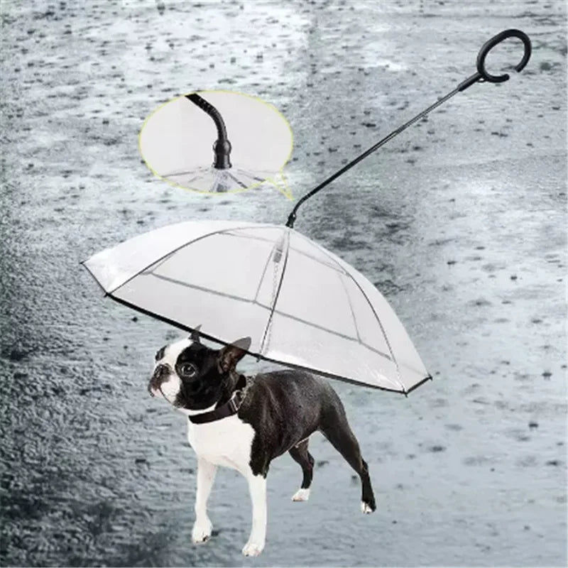 New Transparent Pet Umbrella Well Made Detachable Adjustable Rainy Day Outdoor Dog Walking Leash for Small Dogs Pet Supplies Pi-Mart