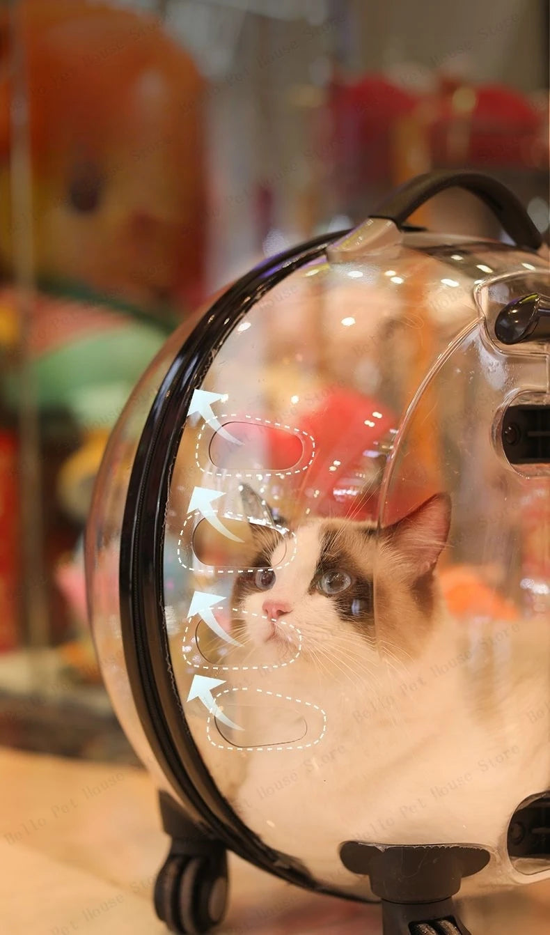 Portable Cat Bag for Going Out Large Capacity Transparent Breathable Pet Trolley Case Cat Travel Bag Pet Supplies Cat nest Pi-Mart