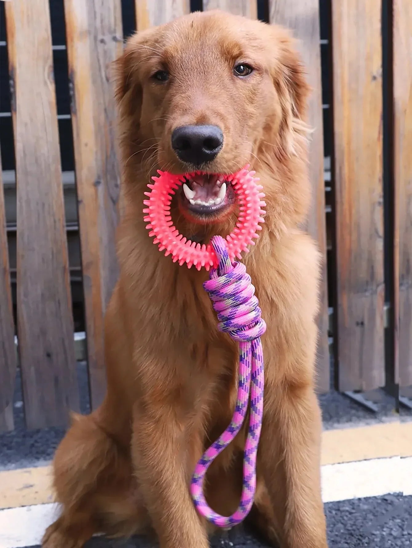 Dog Toys Chew Resistant Nylon Rope Toys Pet Colorful Woven Knot Rubber Toys Dog Self Fun Outdoor Swimming Toys Pet Supplies Pi-Mart