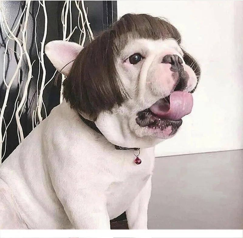 Pet Wigs Cosplay Props Dog Cat Cross-Dressing Hair Set Photography Funny Props Head Accessories Prank Pet Supplies Costumes DIY Pi-Mart