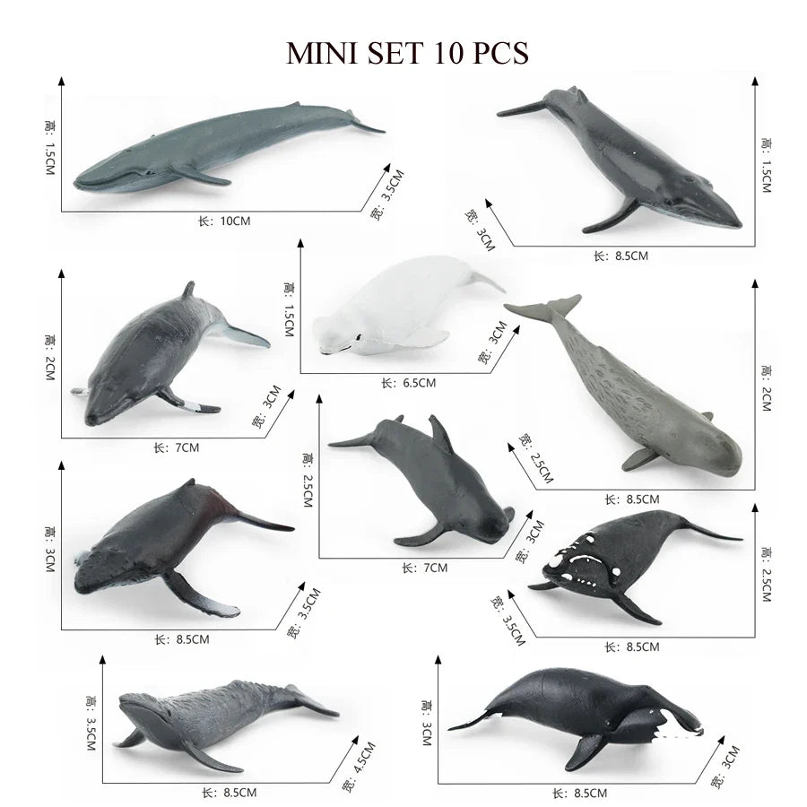 Realistic Mini Ocean Animal Figurines Plastic Marine Sea Creatures Whale Shark Dolphin Turtle Penguin Model Playset Gift for Kid LadyShow.Store