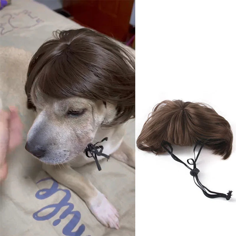 Pet Wigs Cosplay Props Dog Cat Cross-Dressing Hair Set Photography Funny Props Head Accessories Prank Pet Supplies Costumes DIY Pi-Mart