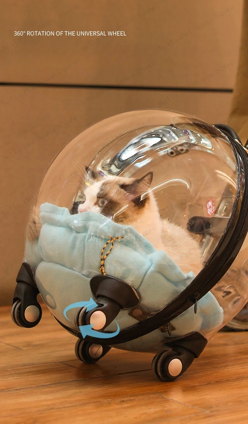 Portable Cat Bag for Going Out Large Capacity Transparent Breathable Pet Trolley Case Cat Travel Bag Pet Supplies Cat nest Pi-Mart