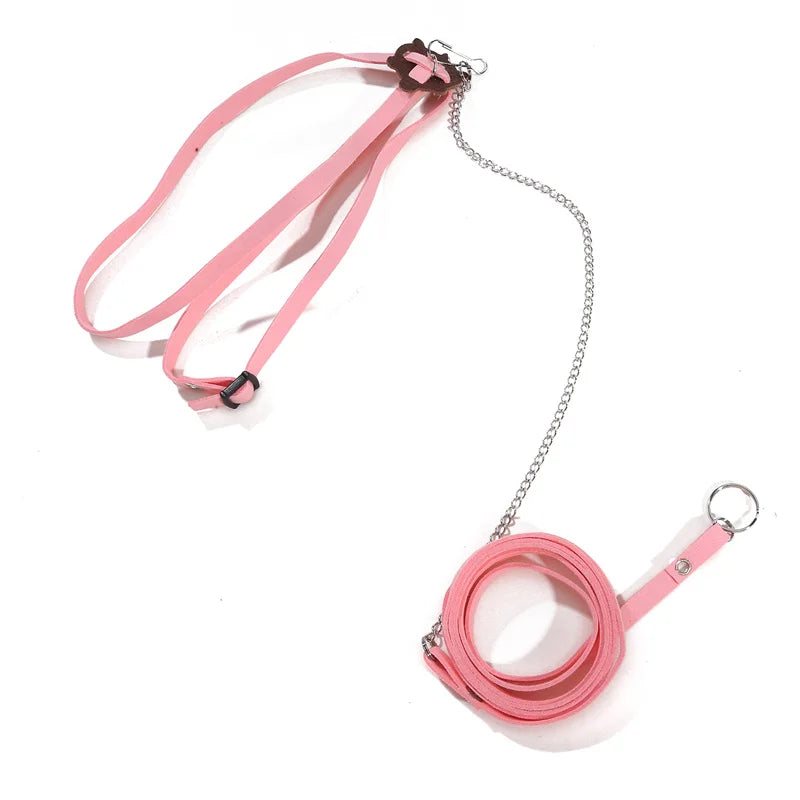 Turtle Traction Belt Control Rope Training Belt Outdoor Walking Leash  Harness Reptile Leash Pet Supplies PU Leather Pi-Mart