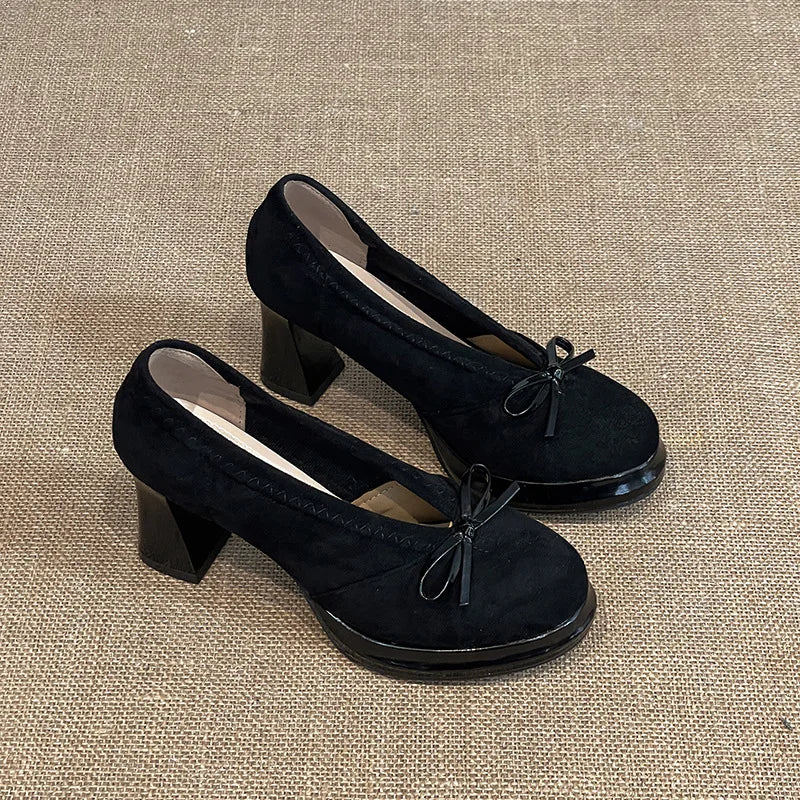 Women's High Heels 2025 Spring Autumn New Vintage Fashion Bow Knot Party Chunky Heels Outdoor Non Slip Luxury Mary Jane Shoes LadyShow.Store