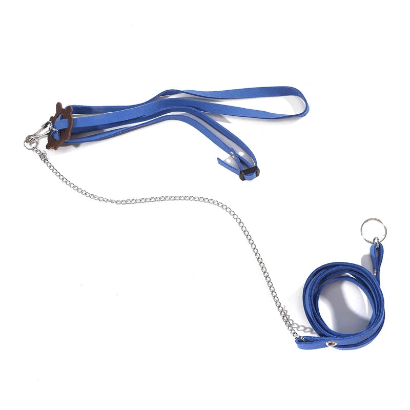 Turtle Traction Belt Control Rope Training Belt Outdoor Walking Leash  Harness Reptile Leash Pet Supplies PU Leather Pi-Mart