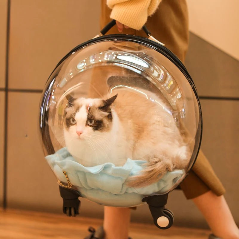 Portable Cat Bag for Going Out Large Capacity Transparent Breathable Pet Trolley Case Cat Travel Bag Pet Supplies Cat nest Pi-Mart