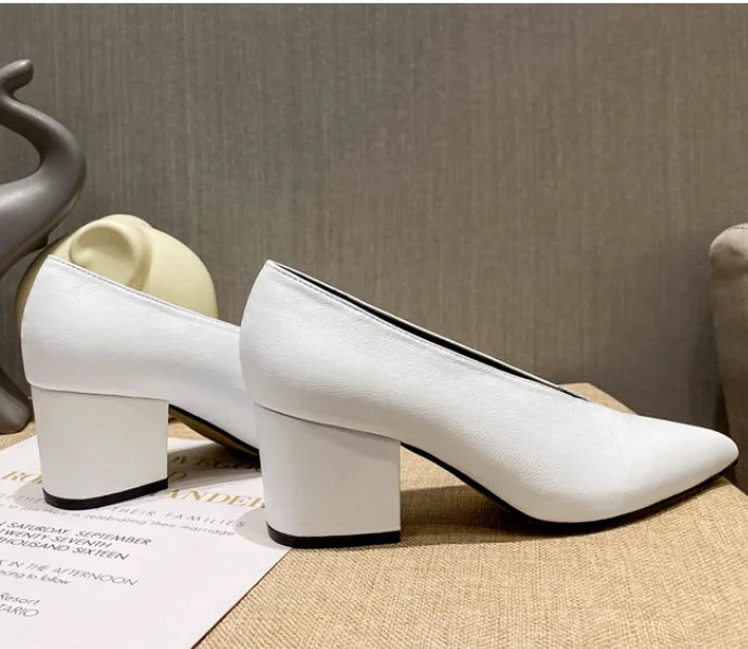 XGRAVITY Sexy Autumn New Designer Vintage Evening Shoes Ladies Fashion Pointed Toe V Cut Woman Shoes High Heel Pumps Sexy C323 LadyShow.Store