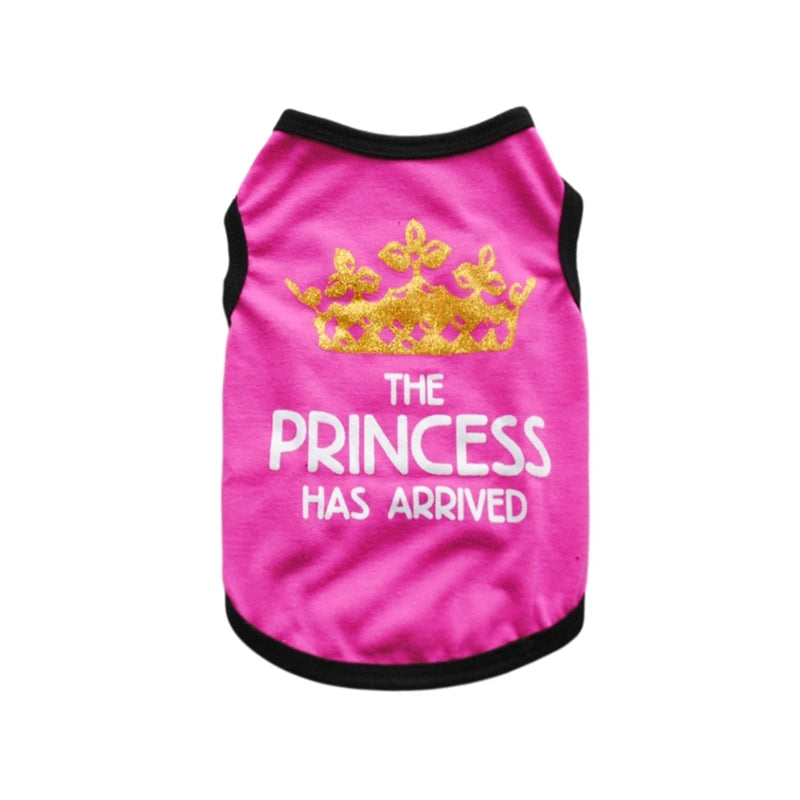 S5ee6931558784cf6ba61a904edb3f5bdc