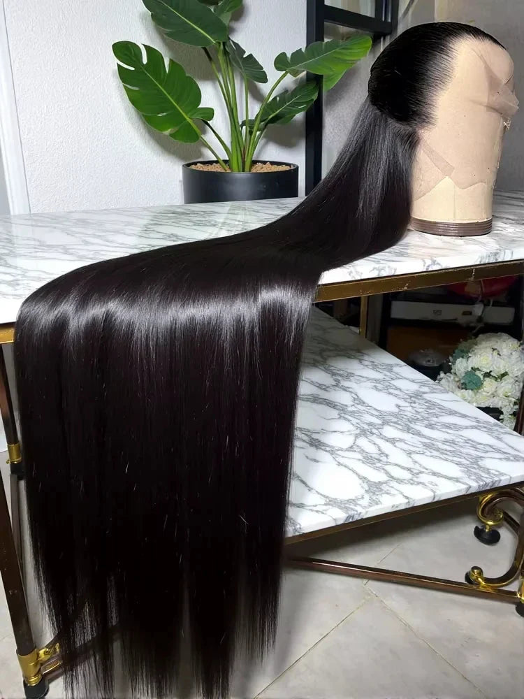 13x6 Lace Front Wigs Human Hair Pre Plucked Straight Human Hair Wig 200% Density HD Lace Frontal Wigs for Women Natural Black LadyShow.Store