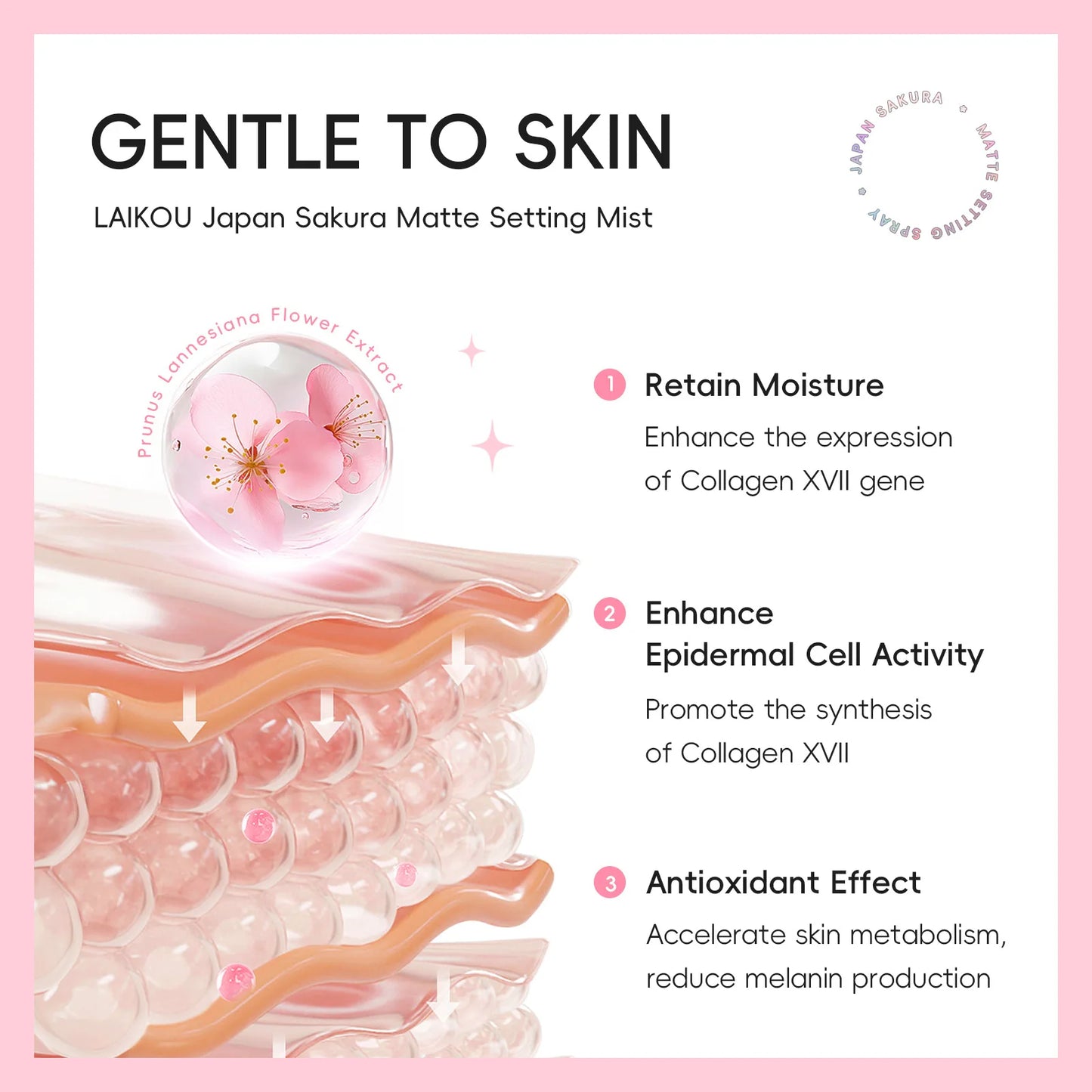 Sakura Matte Setting Spray 80ml Long Lasting Makeup Fixer Moisturizing Oil Control Non Sticky Face Mist For All Day Fresh Look Pi-Mart