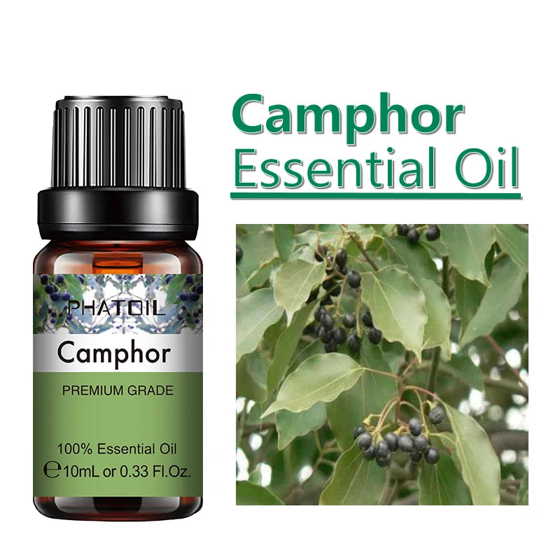 PHATOIL 10ml Ginger Essential Oil for Perfume Candles Making Spa Massage Humidifier Rose Jasmine Pine Needles Tangerine Thyme Pi-Mart