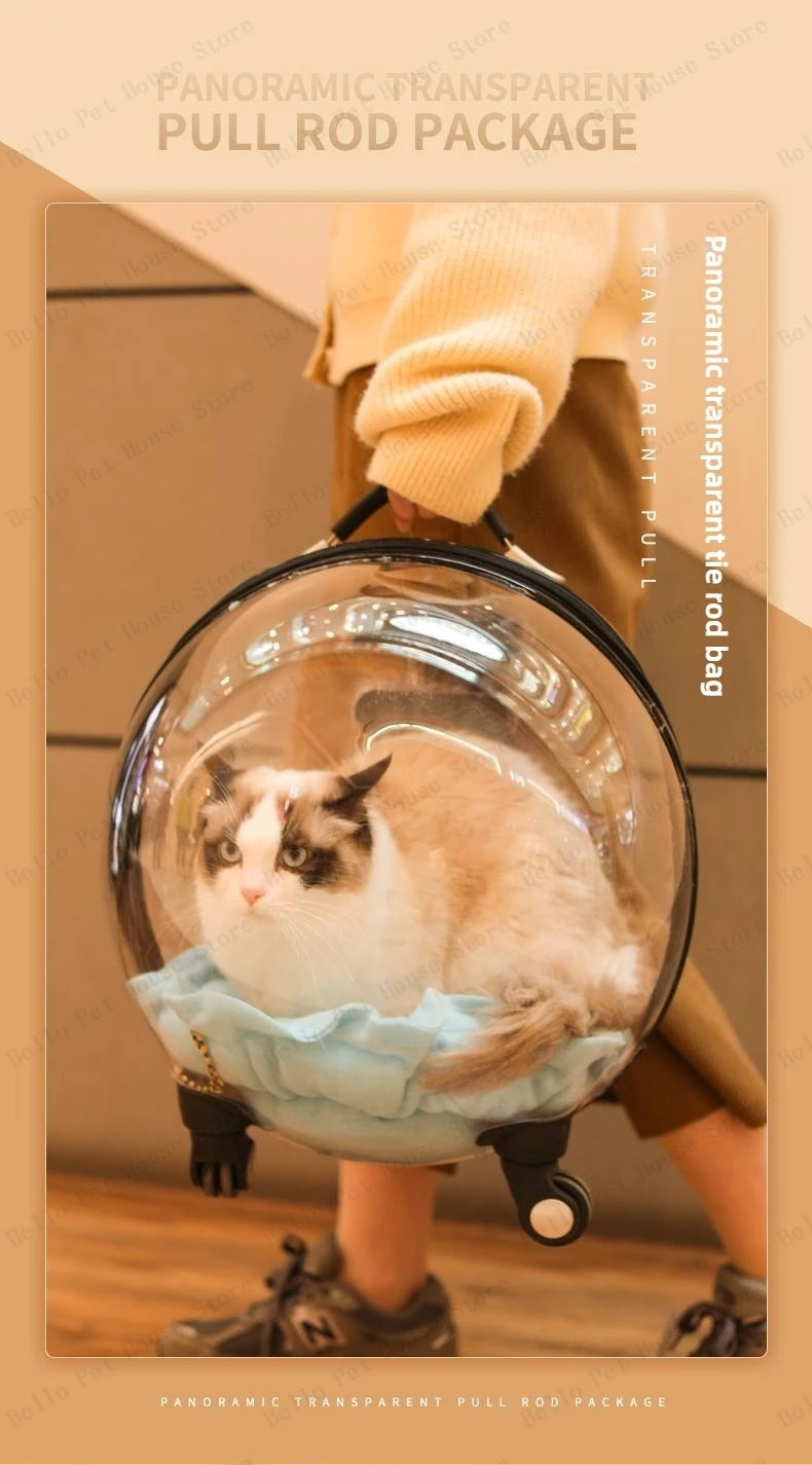 Portable Cat Bag for Going Out Large Capacity Transparent Breathable Pet Trolley Case Cat Travel Bag Pet Supplies Cat nest Pi-Mart