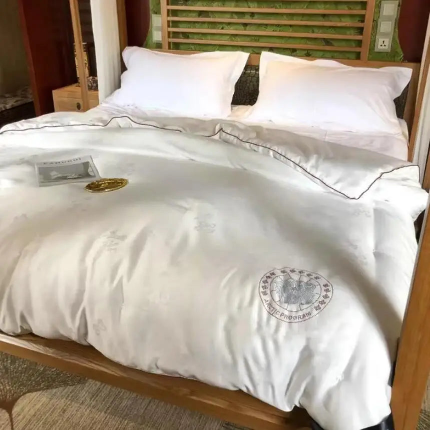 Formtheo Mulberry Silk Quilt Duvet Insert Luxury Warm Winter Duvet For Double Bed Pi-Mart