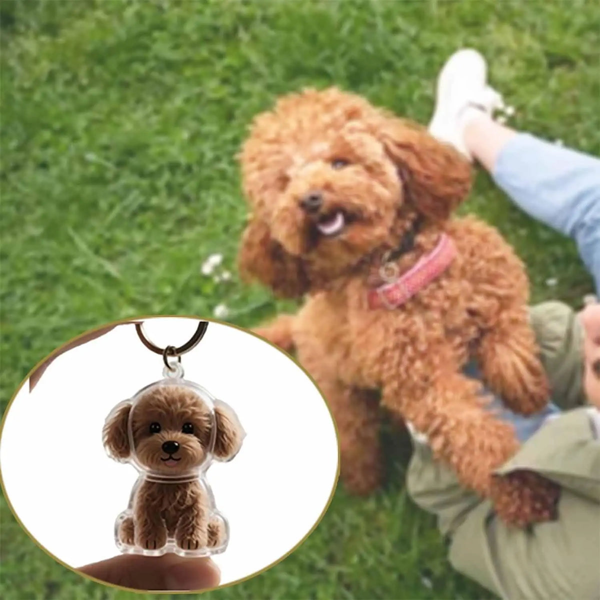 Transparent Cute Dog Pendant Keychain Creative Pet Hair Storage Capsule Hanging Ornament for Pet Lover DIY Pet Memorial Keychain Pi-Mart