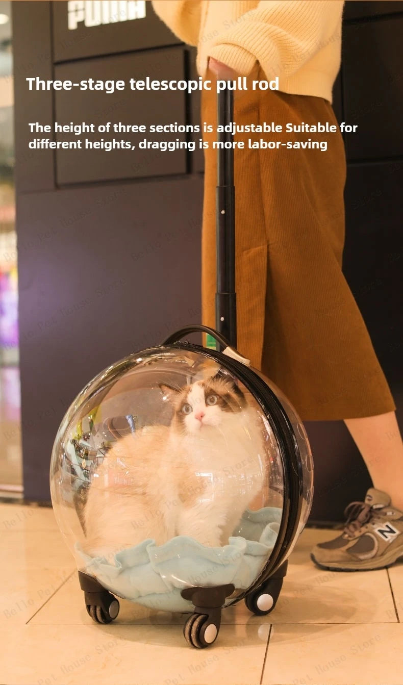 Portable Cat Bag for Going Out Large Capacity Transparent Breathable Pet Trolley Case Cat Travel Bag Pet Supplies Cat nest Pi-Mart