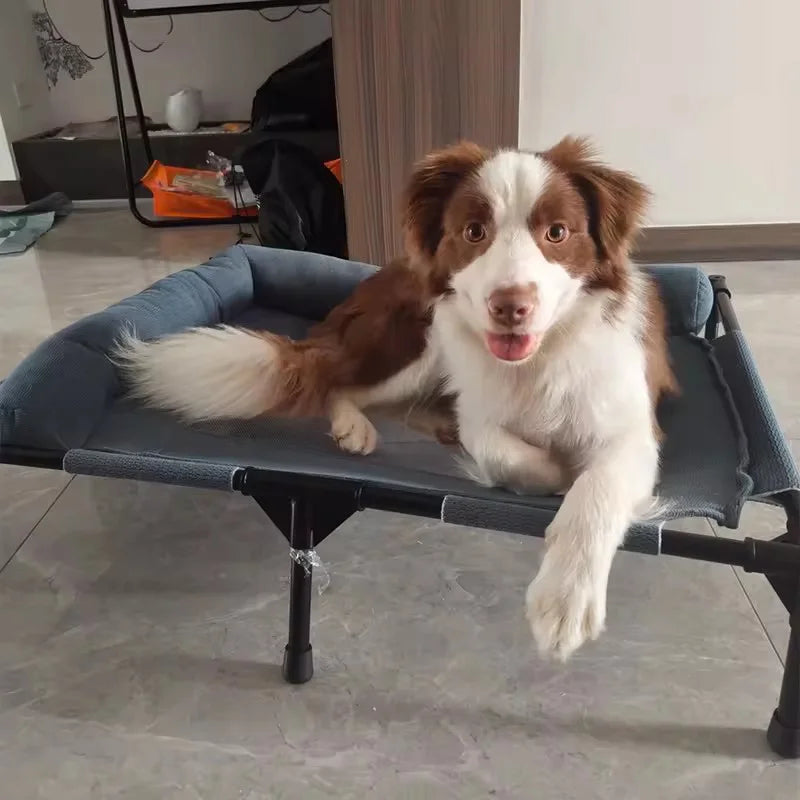 Elevated Cooling Mesh Dog Cot Breathable Moisture Resistant Bed With Pillow Four Seasons Use Indoor For Dog Cat Pet Supplies Pi-Mart