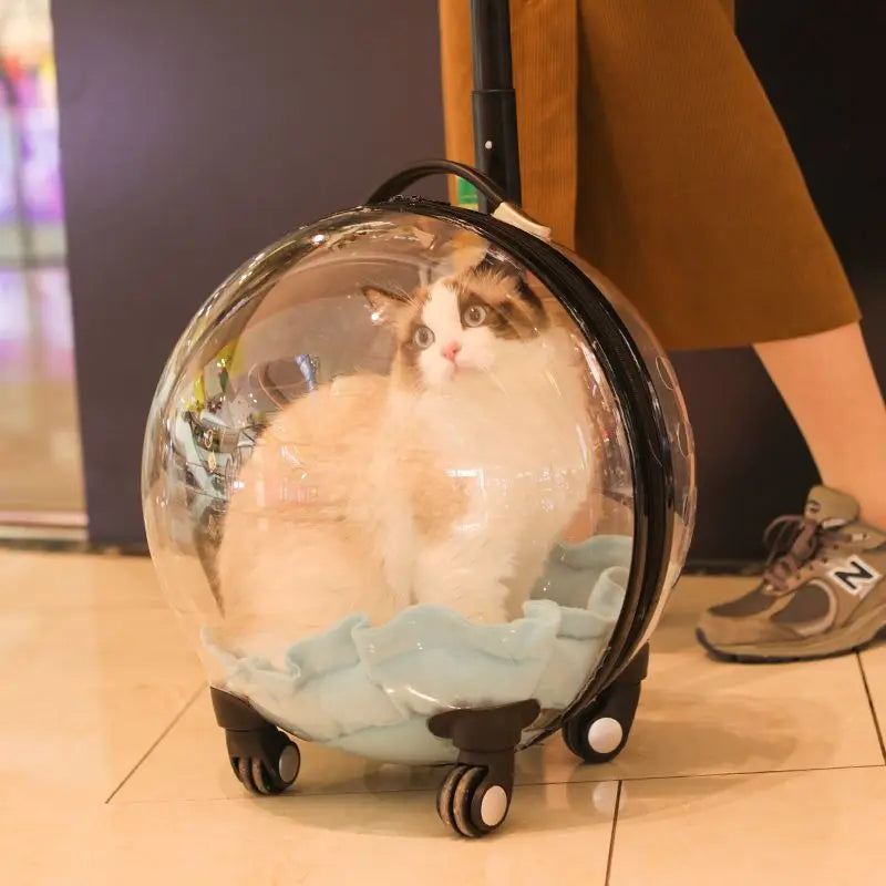 Portable Cat Bag for Going Out Large Capacity Transparent Breathable Pet Trolley Case Cat Travel Bag Pet Supplies Cat nest Pi-Mart