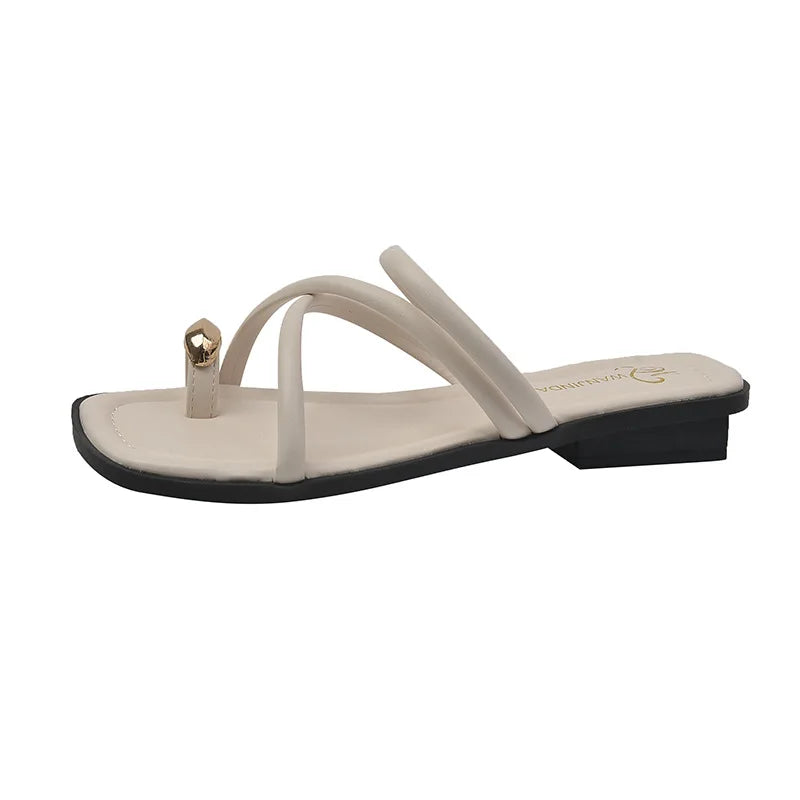Women Summer Slippers Ladies Sandals Metal Decor Thong Flip Flop Low Heel Shoes Woman Outdoor Retro Brown Sandals Female LadyShow.Store