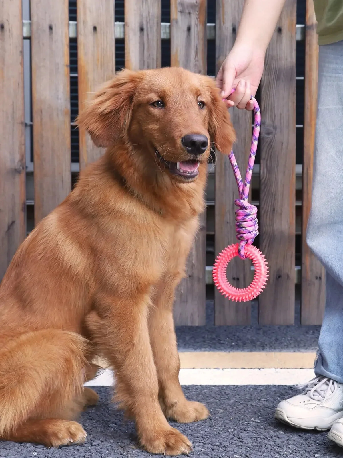 Dog Toys Chew Resistant Nylon Rope Toys Pet Colorful Woven Knot Rubber Toys Dog Self Fun Outdoor Swimming Toys Pet Supplies Pi-Mart