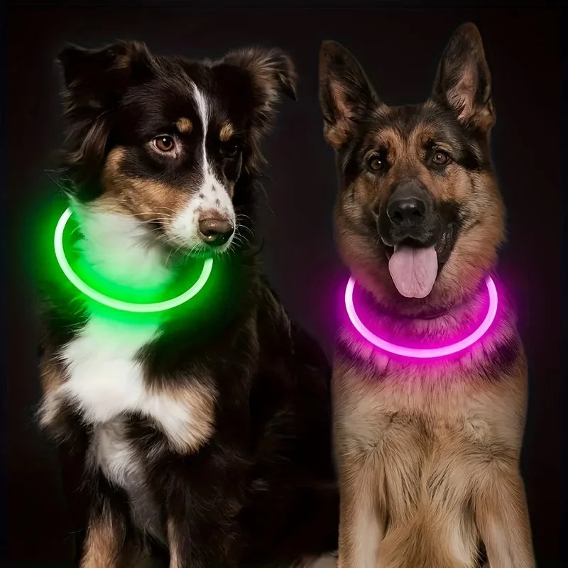 Pet Dog LED Light Collar Luminous Anti-Lost Dog Collar USB Rechargeable Dog Necklace Collar Pi-Mart
