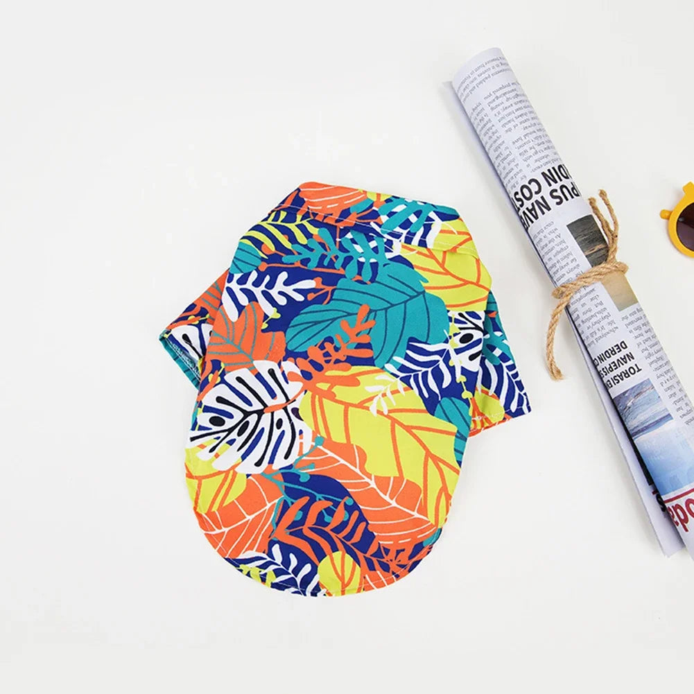 S6c7d316a36584f6f8e2f87f37135b515l