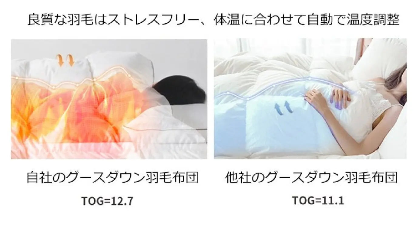 Feather Down Duvet Soft and Warm Perfect for Home Decor Pi-Mart