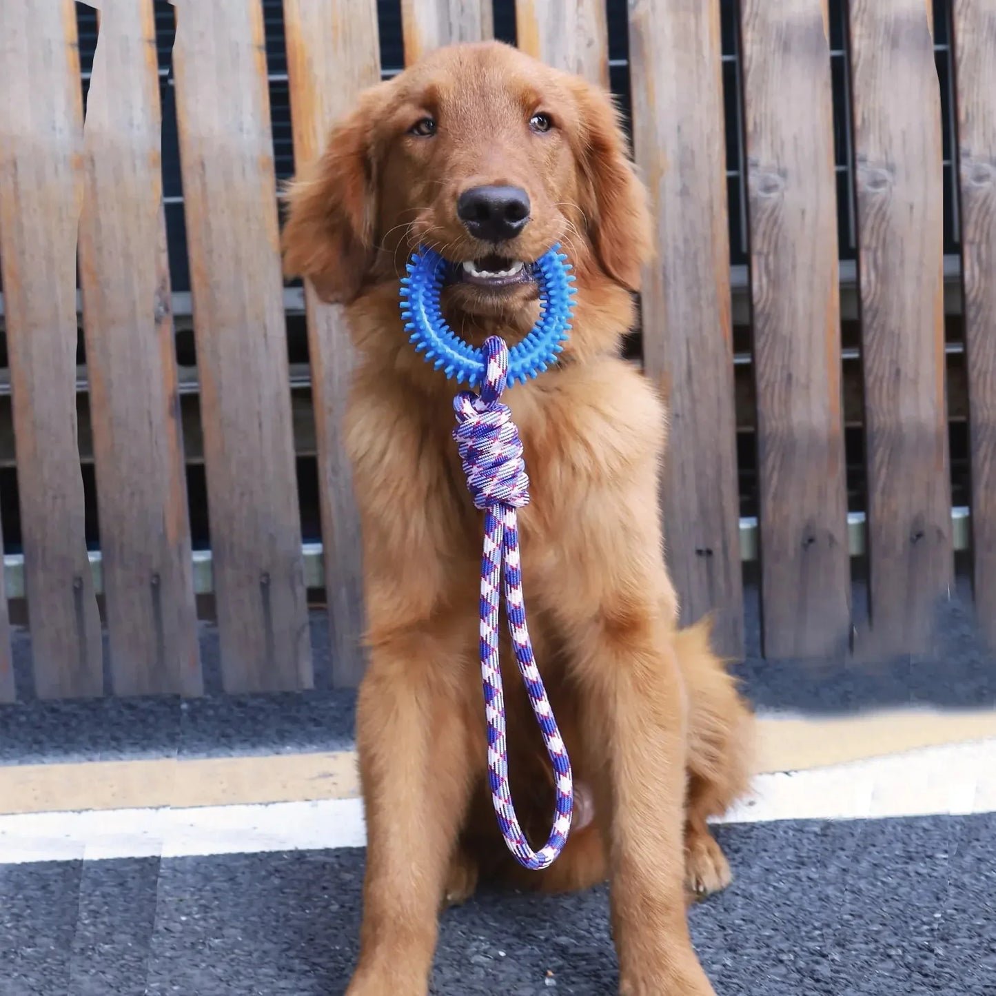 Dog Toys Chew Resistant Nylon Rope Toys Pet Colorful Woven Knot Rubber Toys Dog Self Fun Outdoor Swimming Toys Pet Supplies Pi-Mart